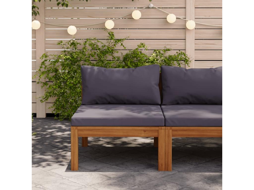 Canapé central sectionnel et coussins gris foncé Bois d'Vertchez